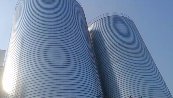 顺义2座混凝土高架卷板仓